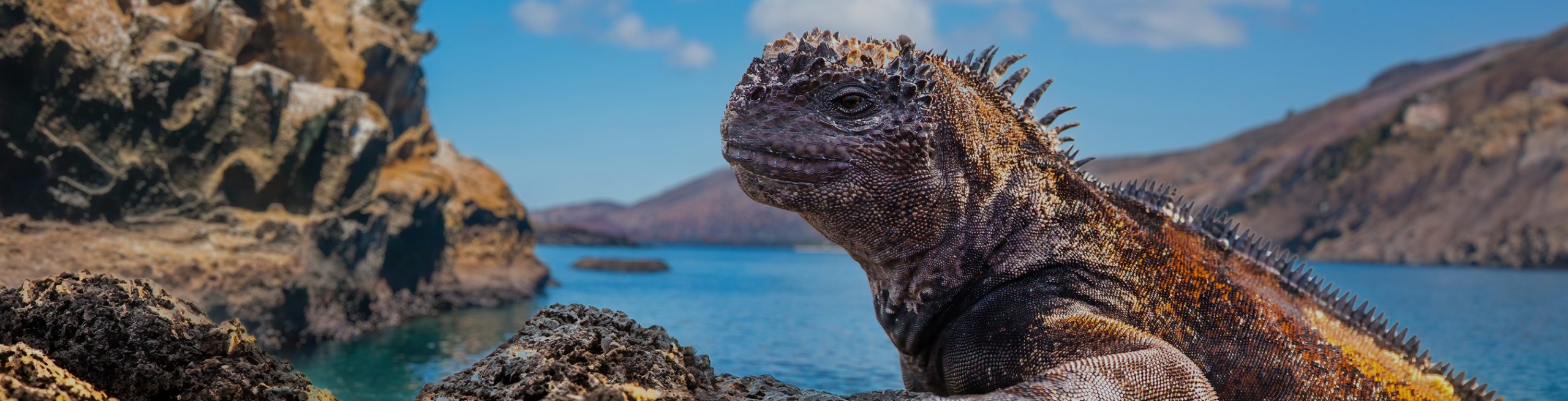 ガラパゴス諸島
